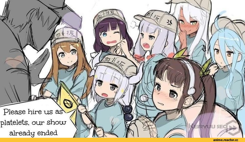 Hataraku Saibou, hinatsuru ai, Izumi Sagiri, Kuro (Fate/Kaleid), Kobayashi-san Chi no Maid Dragon, Kanna Kamui, Monogatari (Series), Hachikuji Mayoi, No Game No Life, Shiro (NGNL), Anime, Ryuuou no Oshigoto!, Eromanga Sensei, Fate (series), Fate/Kaleid