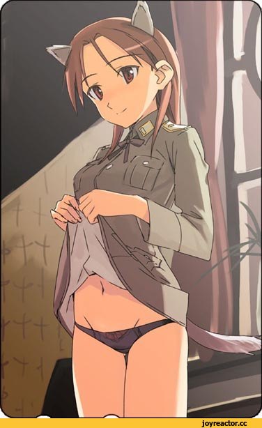 Strike Witches, Minna-Dietlinde Wilcke, Inumimi, Animal Ears, Anime Adult pantsu, Anime Ero, Anime