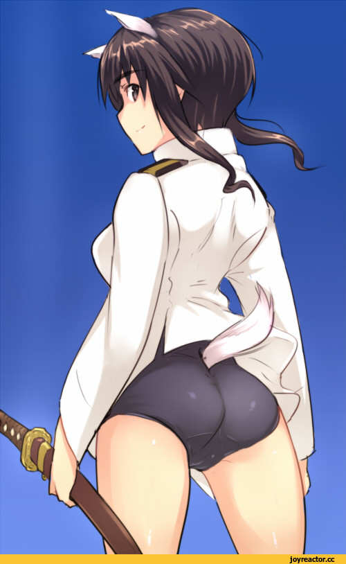 takei junko, Strike Witches, Anime Ero Swim, Anime Ero, Inumimi, Animal Ears, Em, Anime