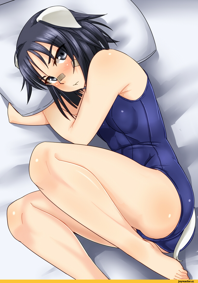 Kanno Naoe, Strike Witches, haru-same, Anime Ero Swim, Anime Ero, Inumimi, Animal Ears, Anime