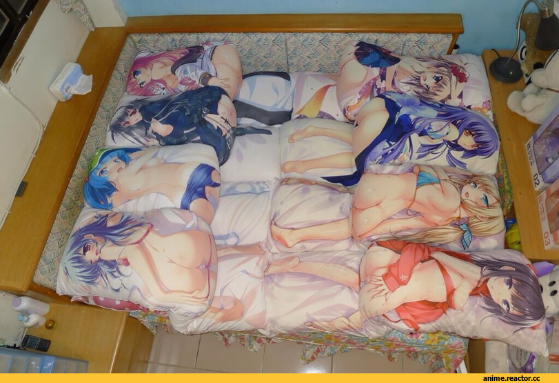 рай, Anime Ero, дакимакура, Anime