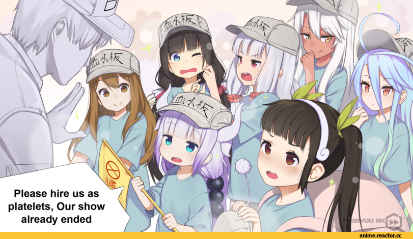 Fate (series), Kuro (Fate/Kaleid), Hataraku Saibou, sekai seifuku, crossover, Kanna Kamui, Shiro (NGNL), hinatsuru ai, Izumi Sagiri, Hachikuji Mayoi, Anime, Fate/Kaleid Liner Prisma Illya, Ryuuou no Oshigoto!, Monogatari (Series), Eromanga Sensei, Kobayashi-san Chi no Maid Dragon, No Game No Life, Keiryuu Seo