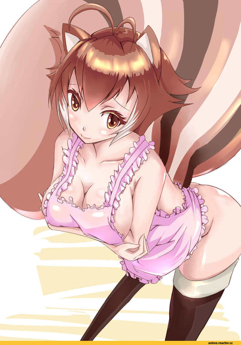 Makoto Nanaya, Blazblue, Игры, Risumimi, Animal Ears, Anime Ero, Anime Art, airi rei, Anime