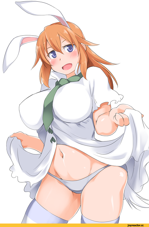 Strike Witches, Charlotte E. Yeager, Usagimimi, Animal Ears, kuronyan, Anime Adult pantsu, Anime Ero, Anime