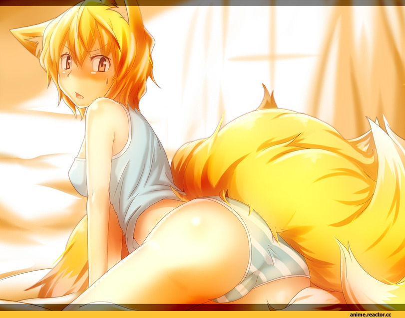 Yakumo Ran, Touhou Project, tamahana, Kitsune, Animal Ears, Anime Adult pantsu, Anime Ero, Anime