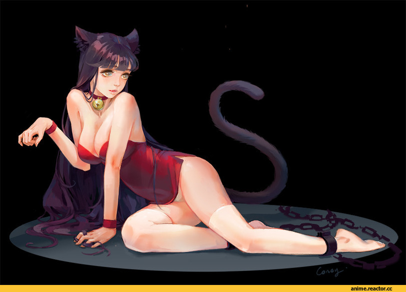 coney, Adult pantsu, Anime Ero, neko, Animal Ears, Anime