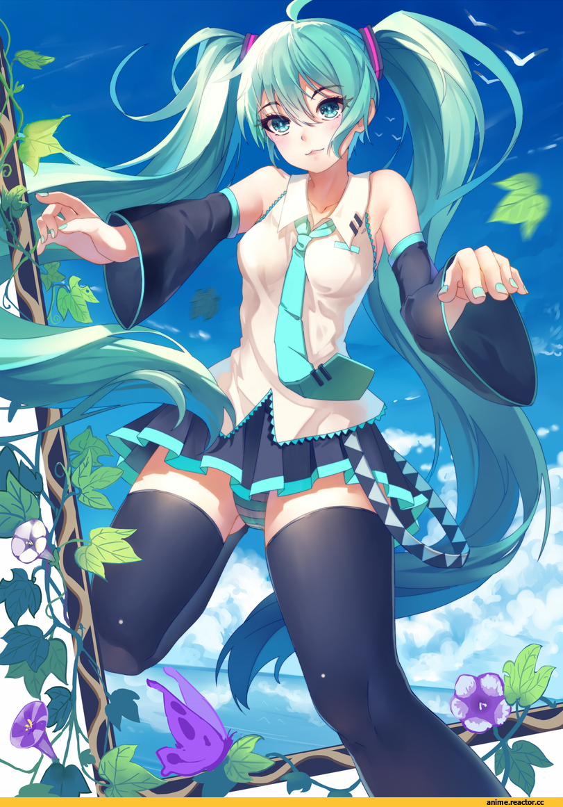 Vocaloid, Hatsune Miku, Anime Ero, Adult pantsu, baisi shaonian, Anime
