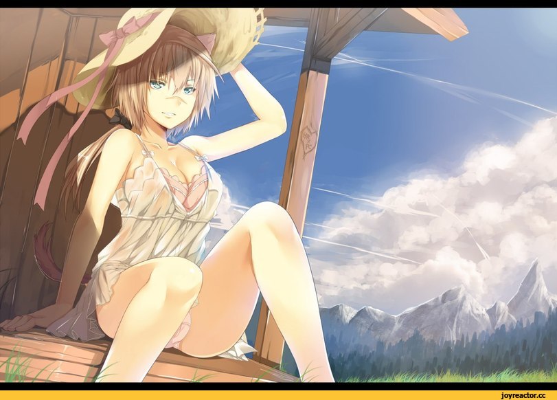 hanna rudel, Strike Witches, Anime Adult pantsu, Anime Ero, neko, Animal Ears, Anime