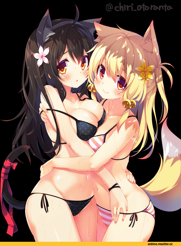 Chiri (Atlanta), Anime Art, Anime Adult Wet, Anime Ero Swim, Anime Ero, Kitsune, Animal Ears, nekomimi, Anime
