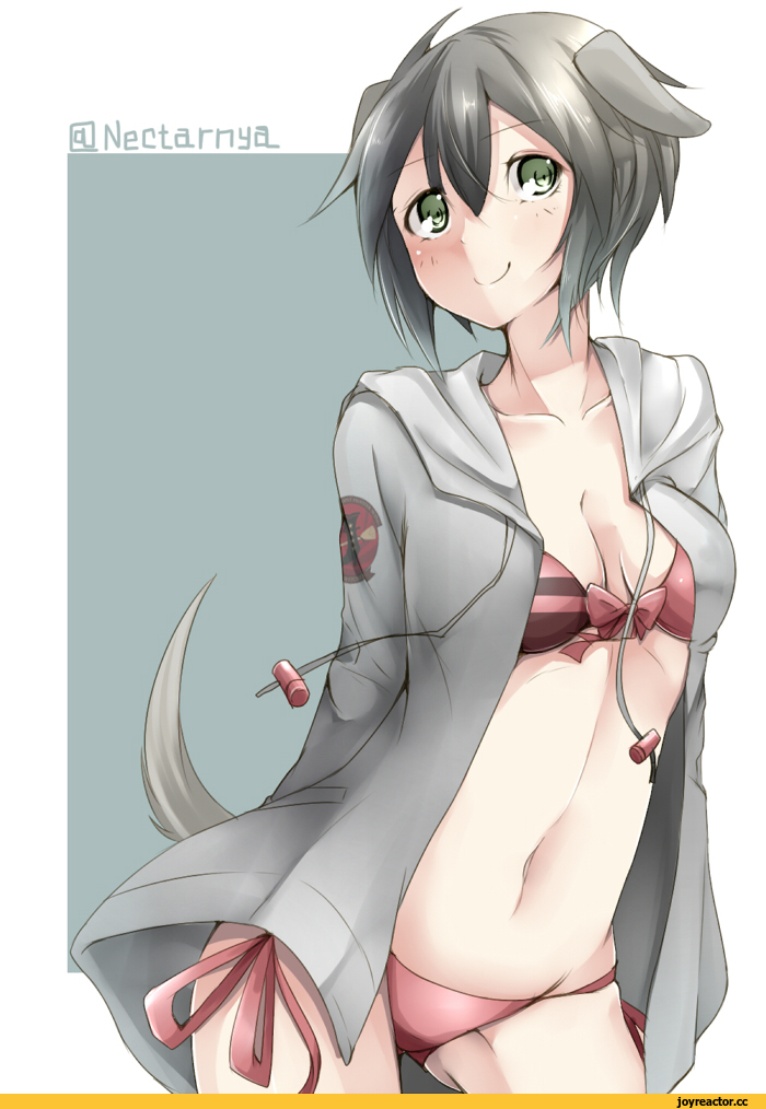 Hatsumi Nekuta, Luciana Mazzei, Strike Witches, Anime Ero, Anime Ero Swim, Inumimi, Animal Ears, Anime
