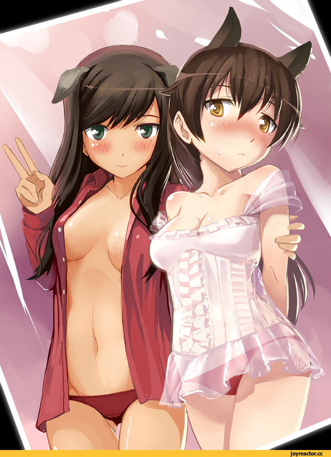 angela salas larrazabal, Strike Witches, Inumimi, Animal Ears, hi-ho-, Federica N. Doglio, Anime Adult pantsu, Anime Ero, Umamimi, Anime