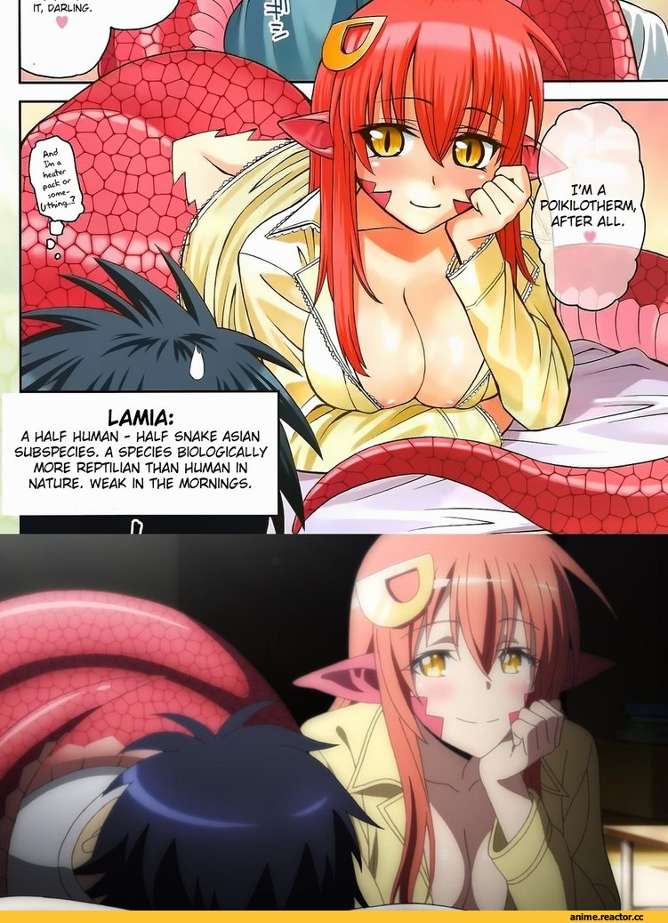 Anime Ero, solvalou, Anime