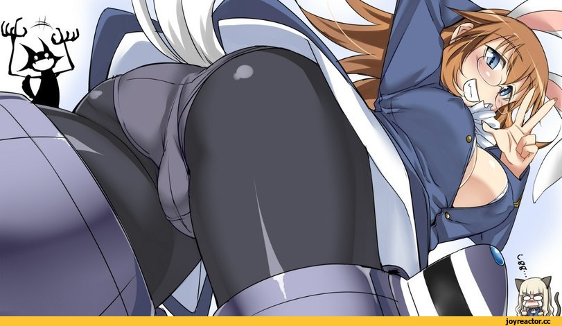 Charlotte E. Yeager, Strike Witches, miyafuji yoshika, Perrine H. Clostermann, Anime Adult pantsu, Anime Ero, Anime Ero Megane, Usagimimi, Animal Ears, nekomimi, Anime