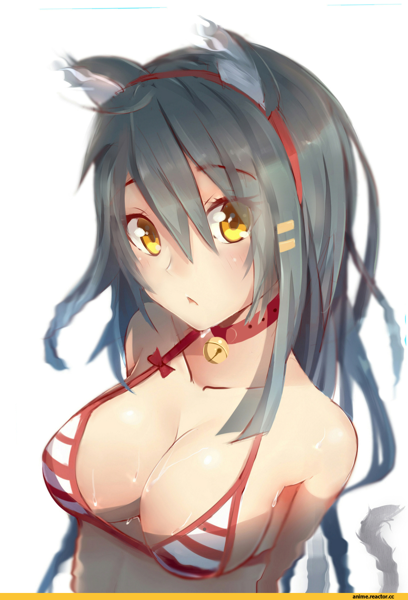 haruna, Kantai Collection, Anime Ero, neko, Animal Ears, Anime