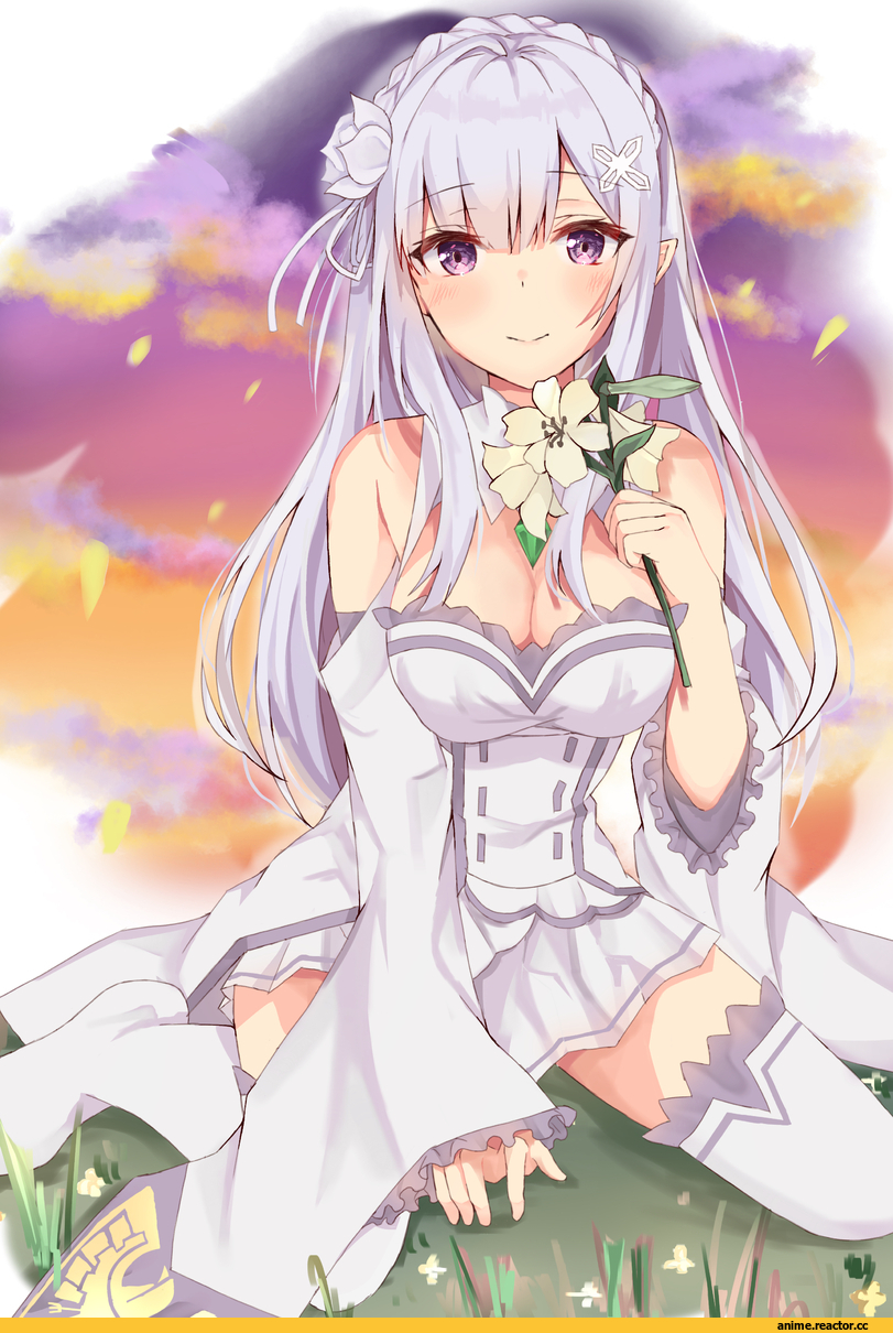 Emilia (re zero), Re Zero Kara Hajimeru Isekai Seikatsu, naga taco, Anime
