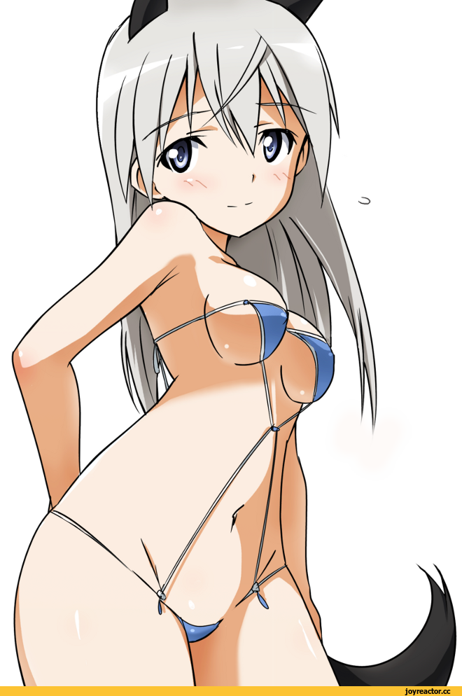 Eila Ilmatar Juutilainen, Strike Witches, Kitsunemimi, Animal Ears, Anime Ero Swim, Anime Ero, Anime