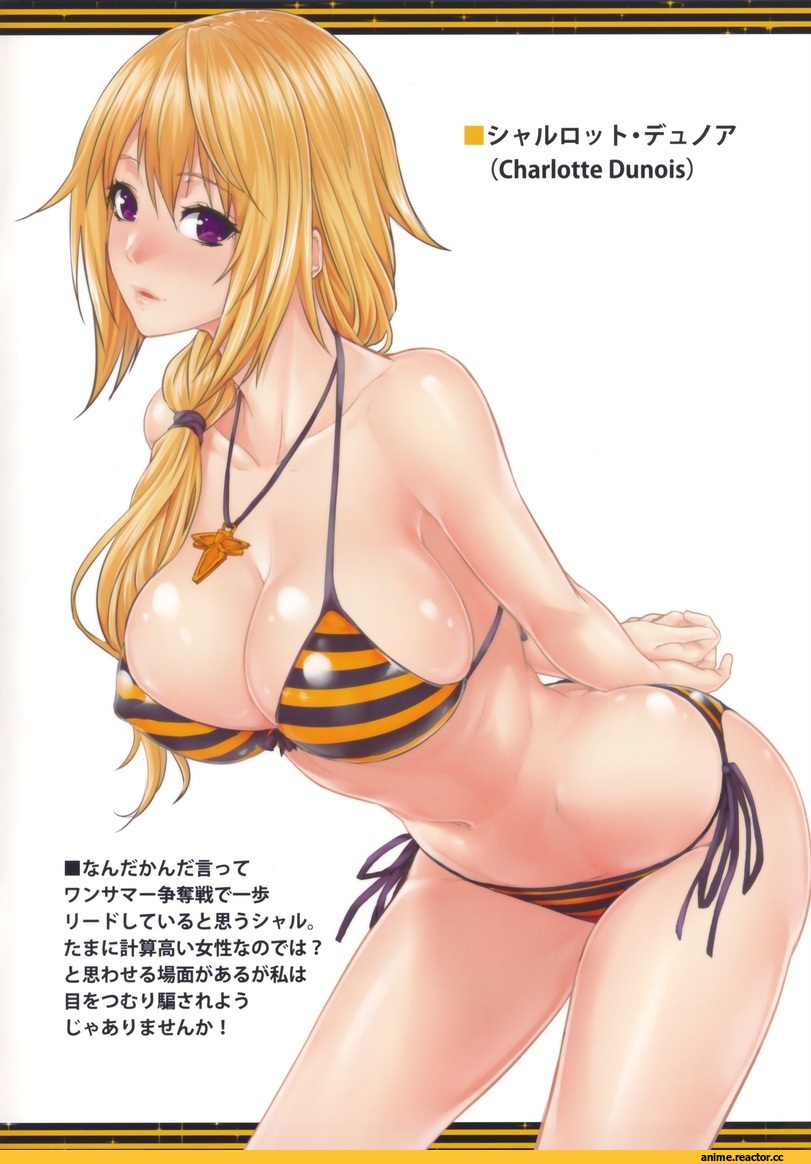 charlotte dunois, Infinite Stratos, Anime Ero Swim, Anime Ero, Anime
