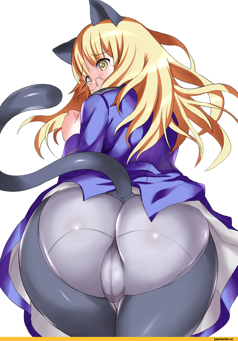 Perrine H. Clostermann, Strike Witches, nekomimi, Animal Ears, Anime Adult pantsu, Anime Ero, Anime Ero Megane, mozuku (djpw), oshiri, Anime