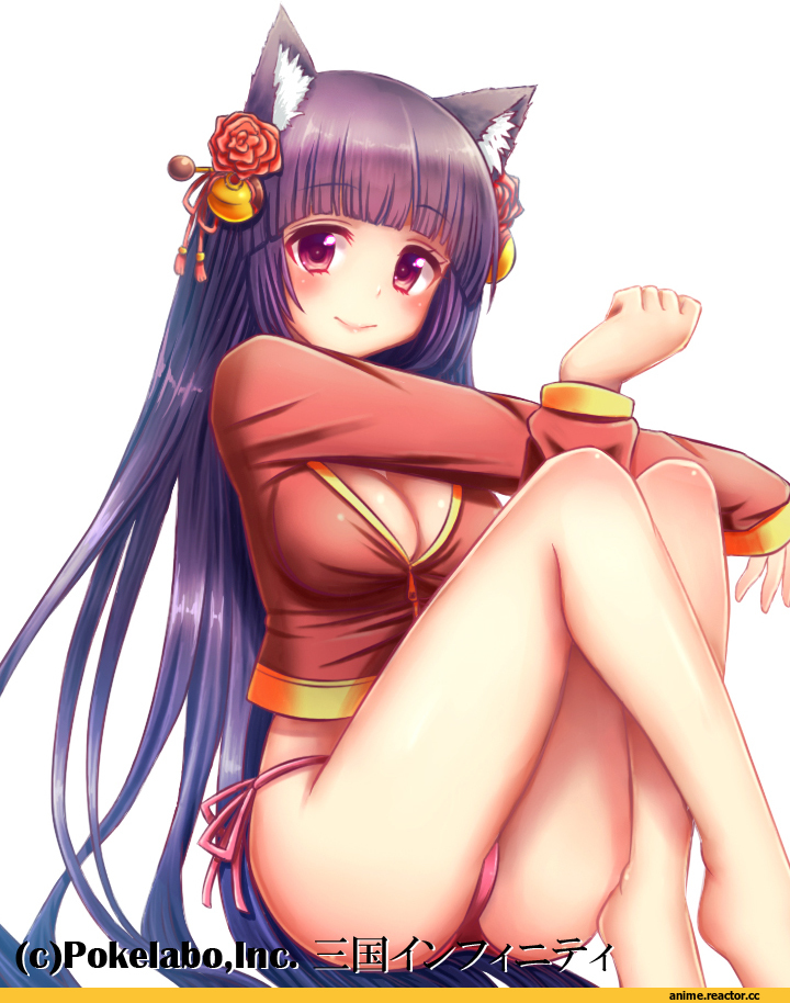 Anime Art, Animal Ears, neko, Anime Ero, Adult pantsu, Anime