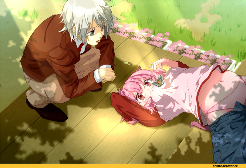 Anime Adult pantsu, Anime Ero, neko, Animal Ears, Anime
