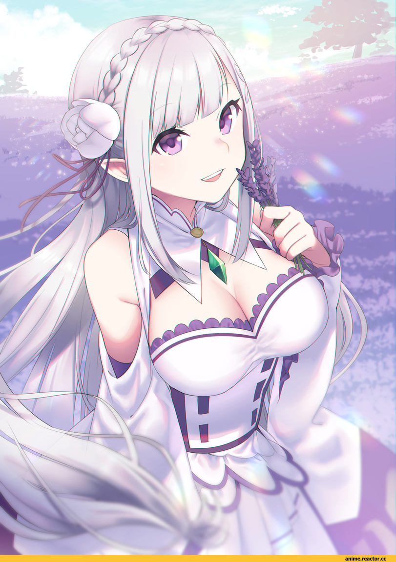 Emilia (re zero), Re Zero Kara Hajimeru Isekai Seikatsu, nerua, Anime