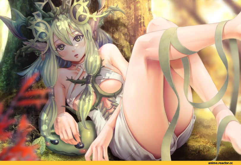 Puzzle & Dragons, Anime Ero, Anime Adult pantsu, Animal Ears, Anime