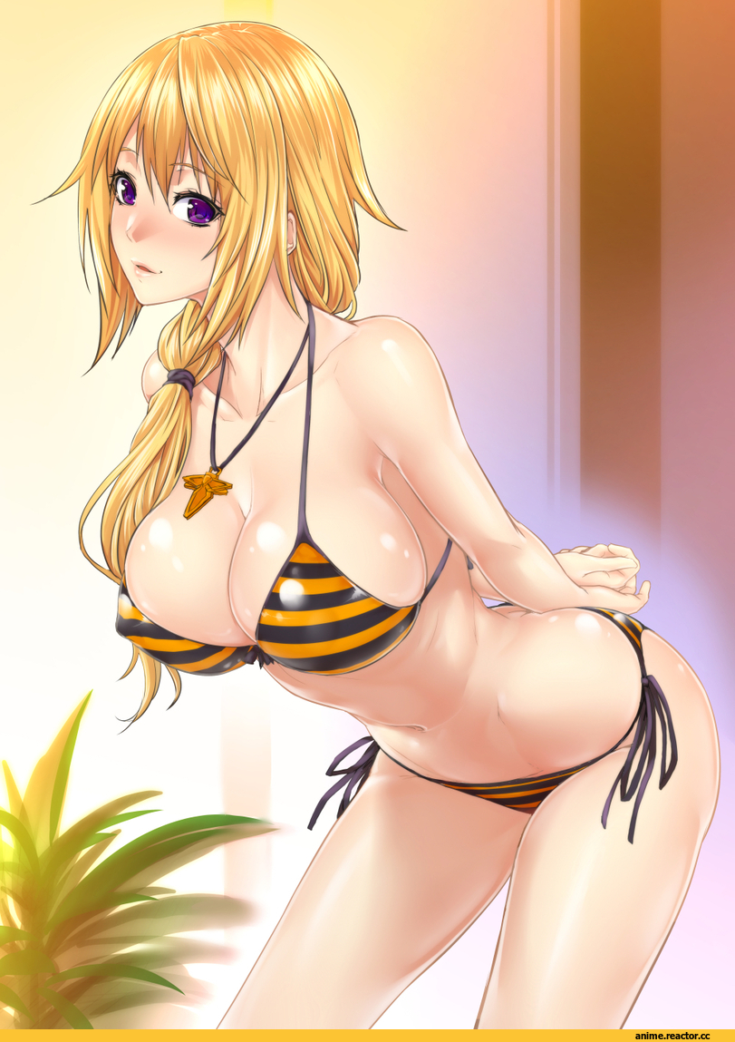 charlotte dunois, Anime Ero Swim, Anime Ero, Infinite Stratos, Zucchini, Anime Art, Anime