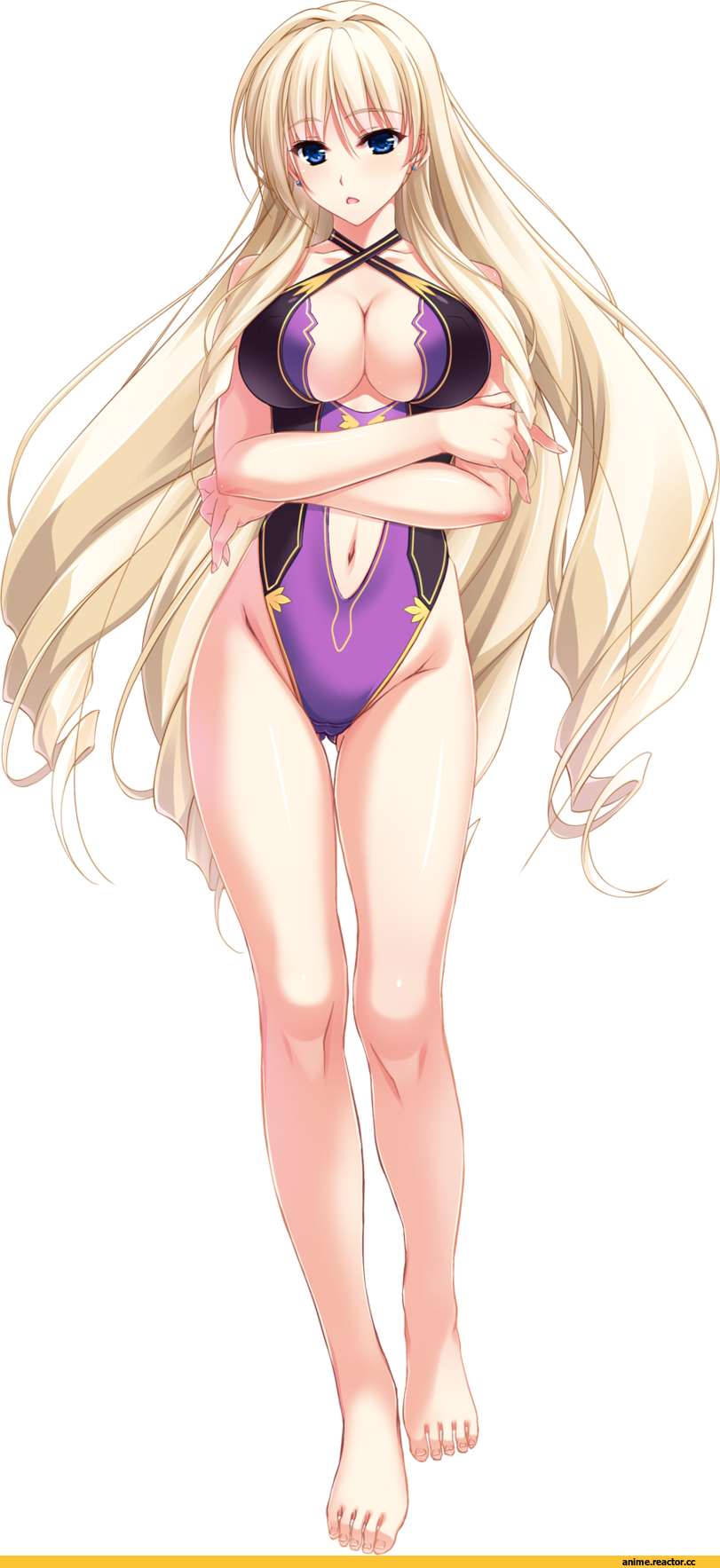 Unionism Quartet, Anime Ero Swim, Anime Ero, Anime