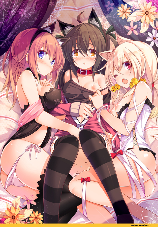 kangoku gakuen (prison school), Shiraki Meiko, Midorikawa Hana, kurihara mari (kangoku), Anime Ero Swim, Anime Ero, Anime