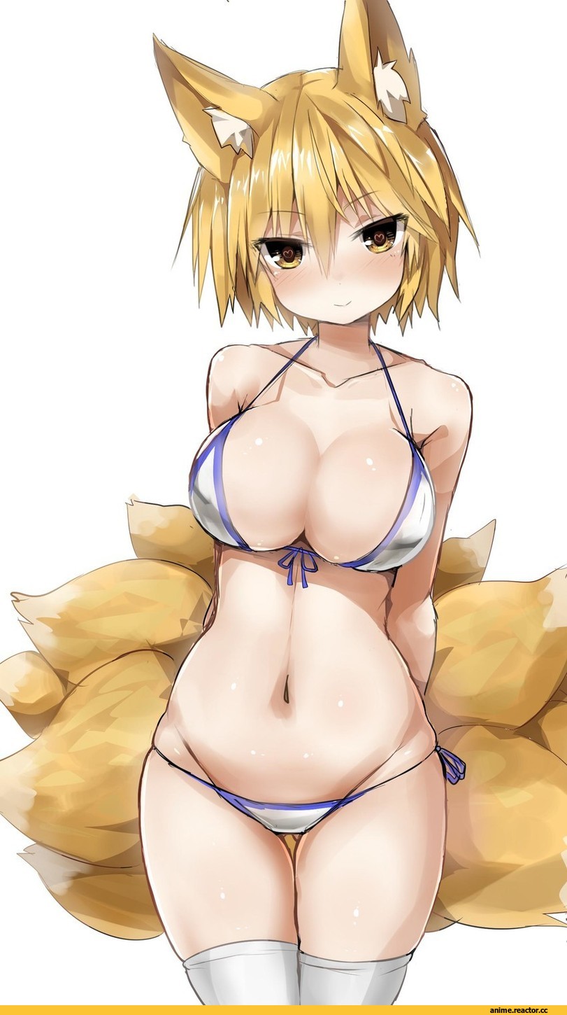 Animal Ears, Yakumo Ran, Touhou Project, Anime Art, 5240mosu, Anime Ero, Kitsune, Anime