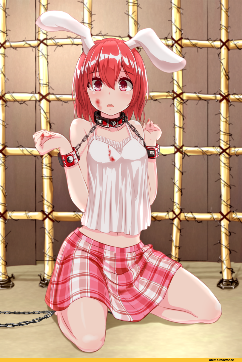 Usagimimi, Animal Ears, Anime Ero BDSM, Anime Ero, Anime