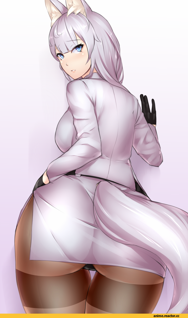 sekka (kageshio), kageshio (276006), oshiri, Anime Ero, Adult pantsu, Kitsune, Animal Ears, Anime