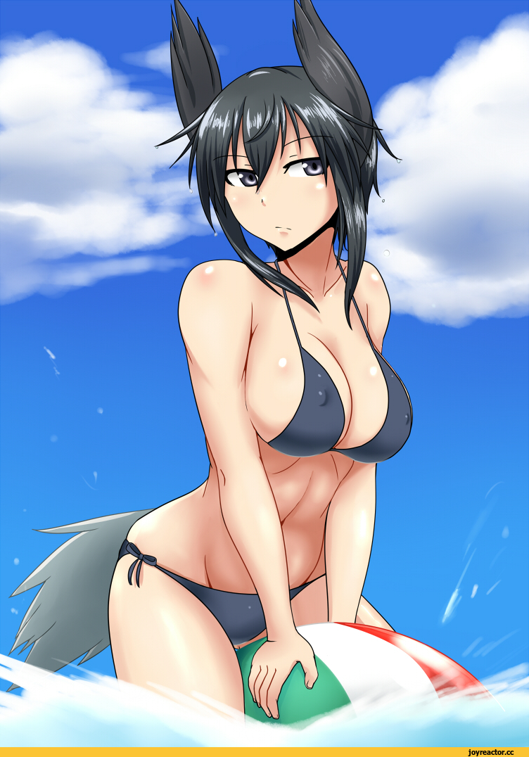dominica s gentile, Strike Witches, haru-same, Anime Ero Swim, Anime Ero, Strike Witches (Anime), Anime
