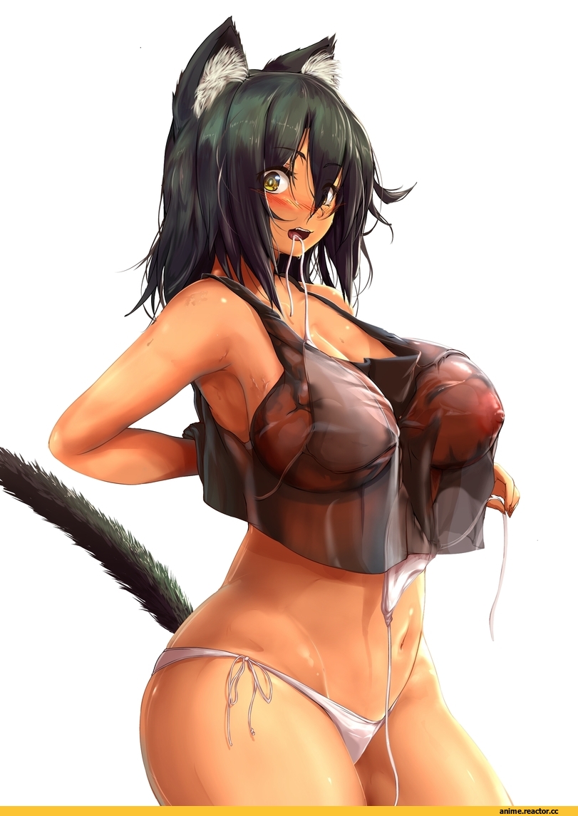 Anime Original, Anime Art, Anime Ero, Anime Ero Kyonyuu, Anime Ero Oppai, Animal Ears, neko, Pekoneko, Adult pantsu, Anime