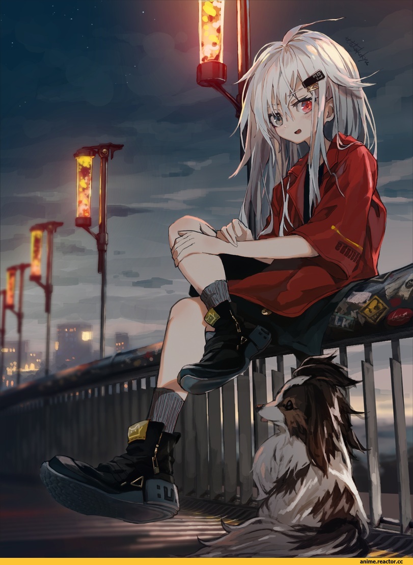 scyze, AO, гетерохромия, Anime