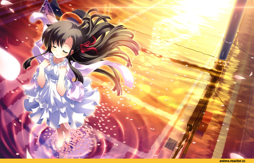 Anime Art, Anime