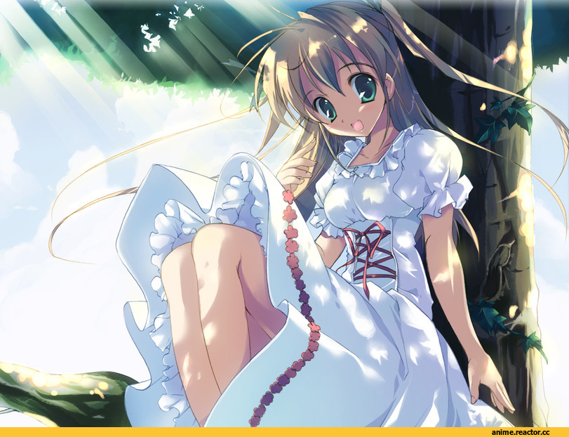 Anime Art, Anime