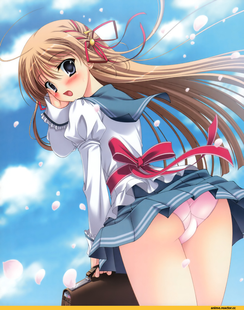 Anime Art, Anime