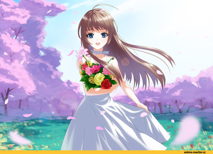 Anime Art, Anime