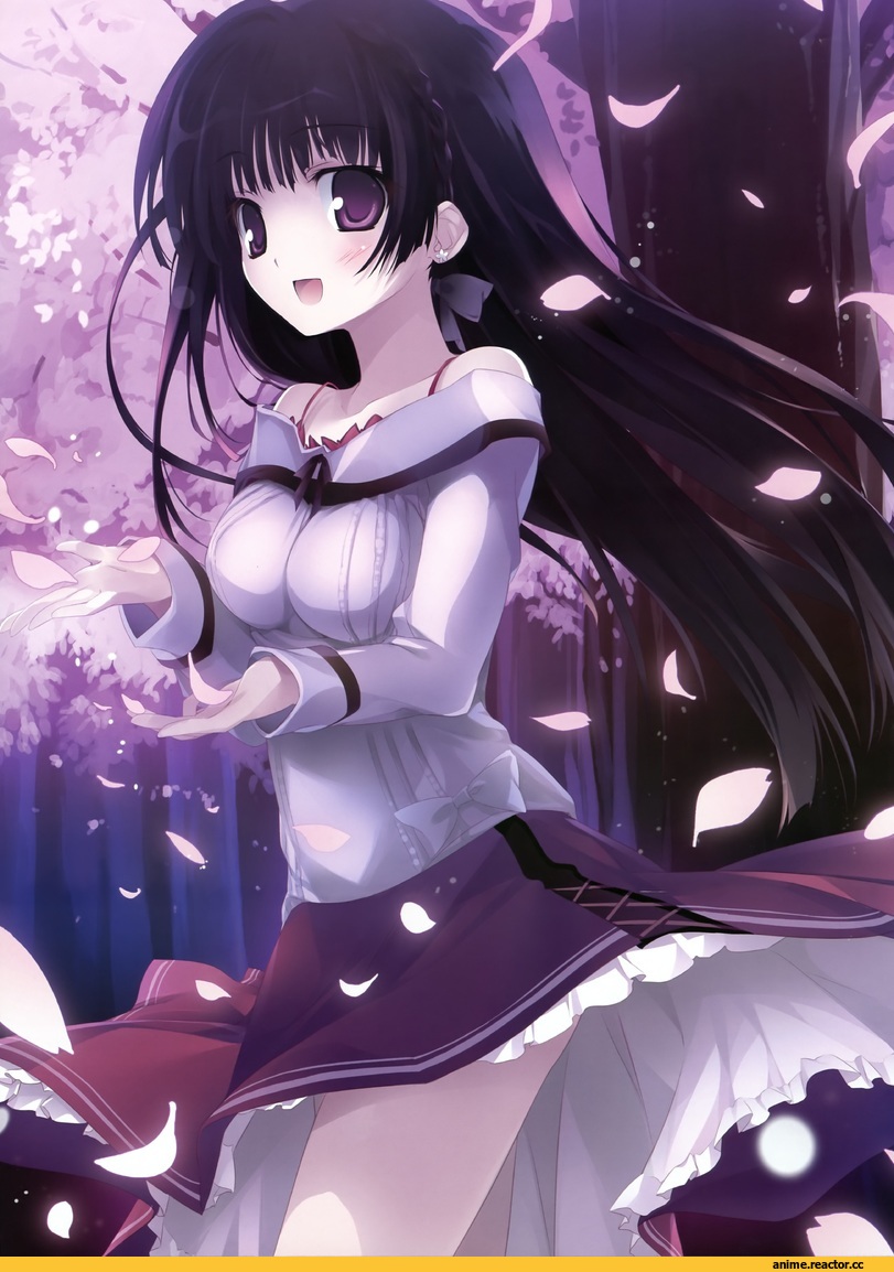 Anime Art, Anime