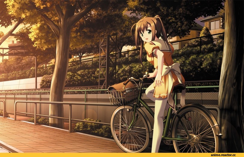Anime Art, Anime