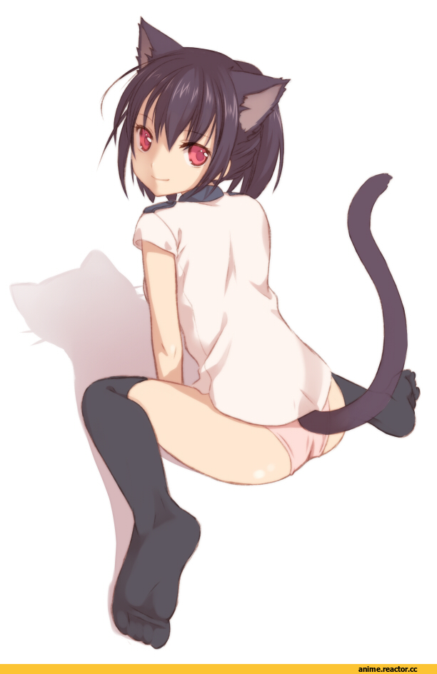Anime Art, nana mikoto, nekomimi, Animal Ears, Anime