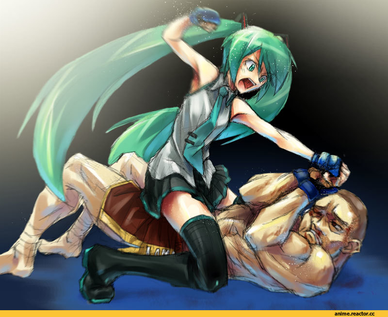 Hatsune Miku, Vocaloid, Anime Art, Anime