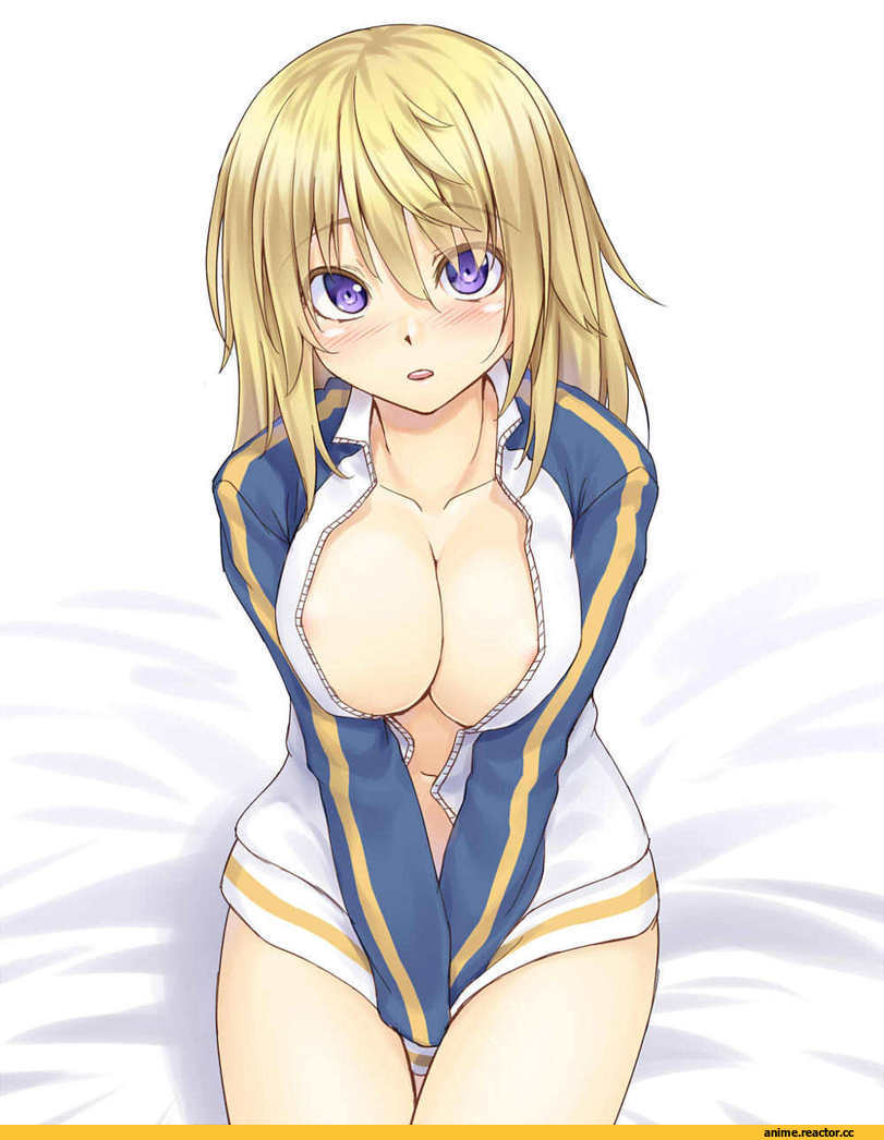 Anime Art, charlotte dunois, Infinite Stratos, kasei (xyz), Anime