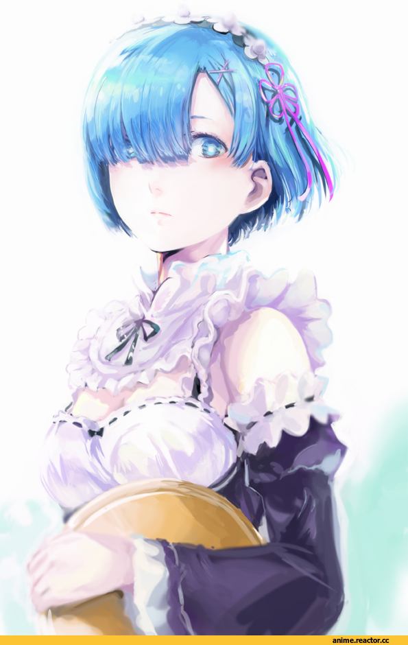 Re Zero Kara Hajimeru Isekai Seikatsu, Rem (re zero), hoozuki, Anime