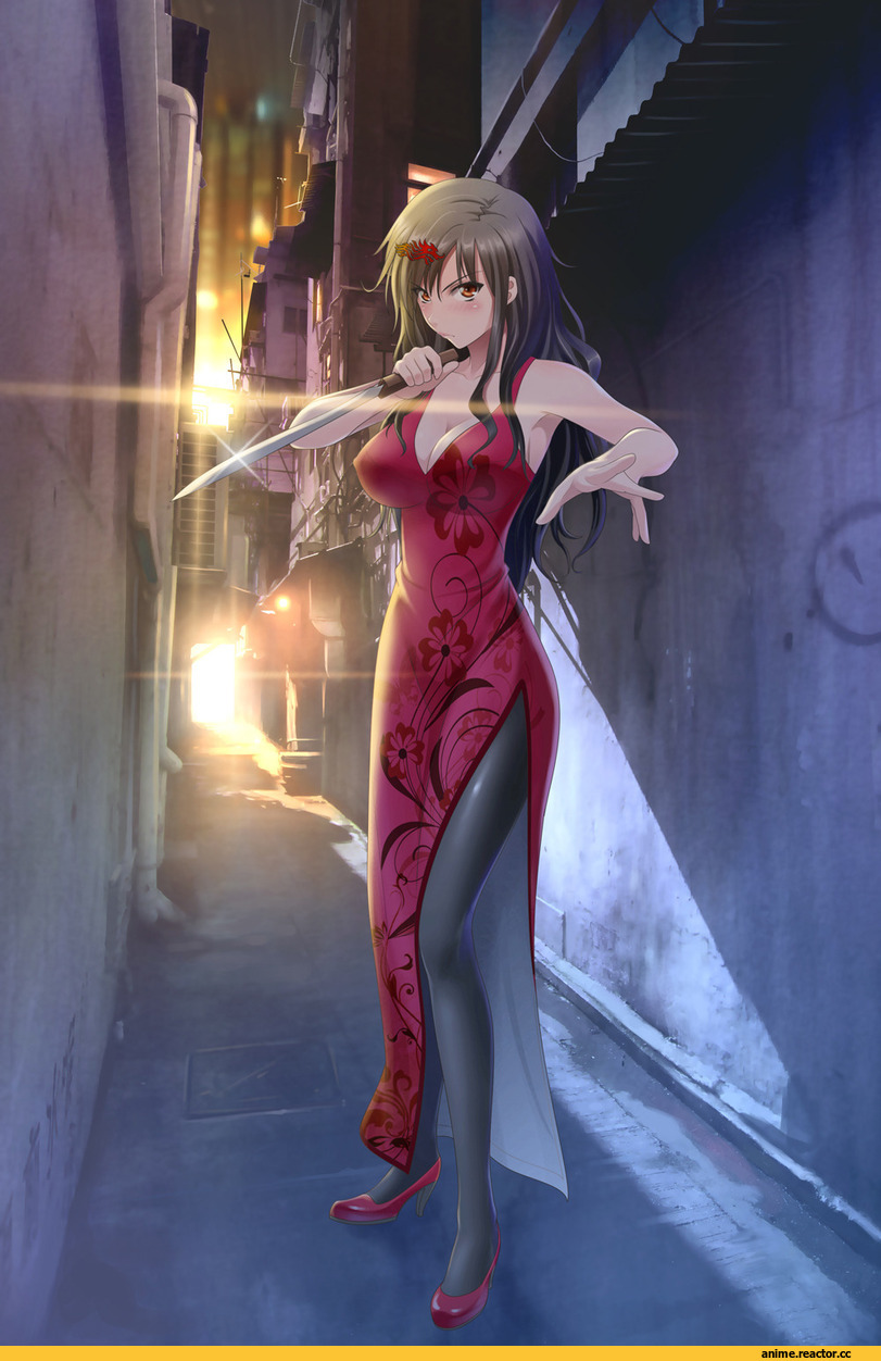 Anime Art, Anime