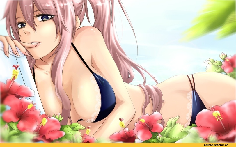 Anime Art, Anime