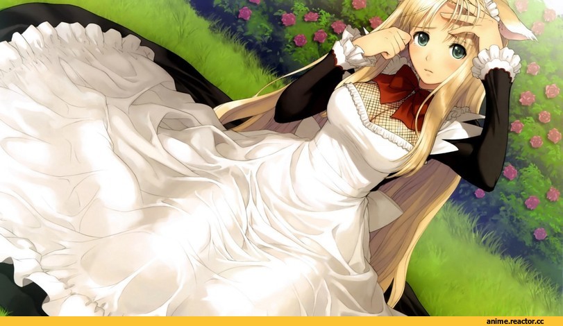 maids, Неко, горничная, Tony Taka, Shining Hearts, Shiawase no Pan, Animal Ears, Anime