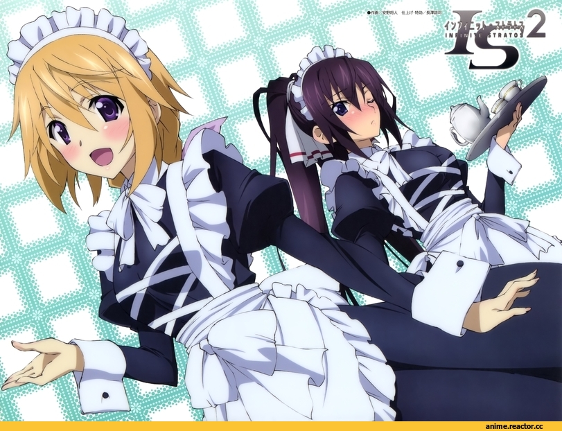 Infinite Stratos, charlotte dunois, shinonono houki, Maid, Anime