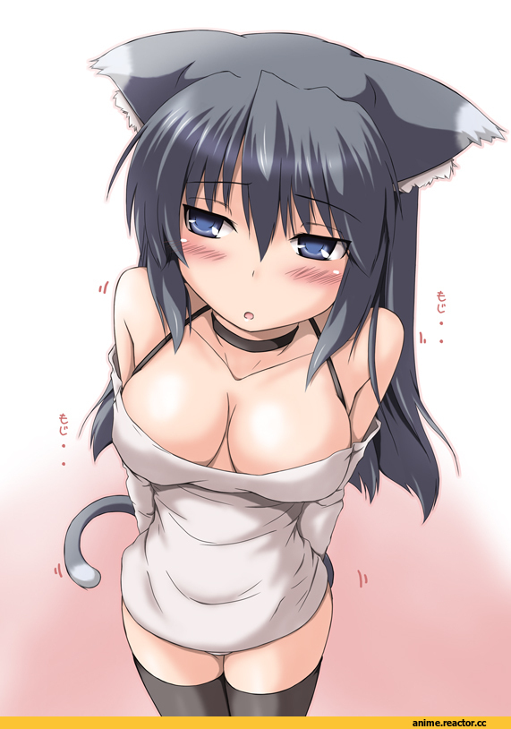 эротичные няшки, Неко, Animal Ears, Anime